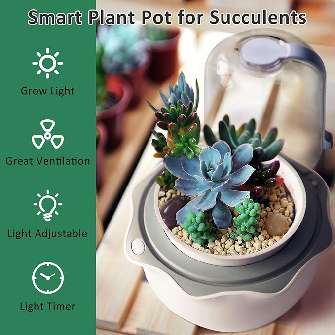 Smart Venus Fly Trap Terrarium Pot with Timer and Fan,Carnivorous Plant Pot with Grow Light,Terrarium Kit for Butterwort,Christmas Birthday Gifts for Women Garden Lover (No Plant)