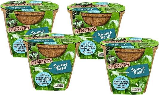 Plant-It Starters Plant Seeds 4-Pack, DIY Indoor Succulents and Live Plants for Home or Garden Planting, Sweet Basil