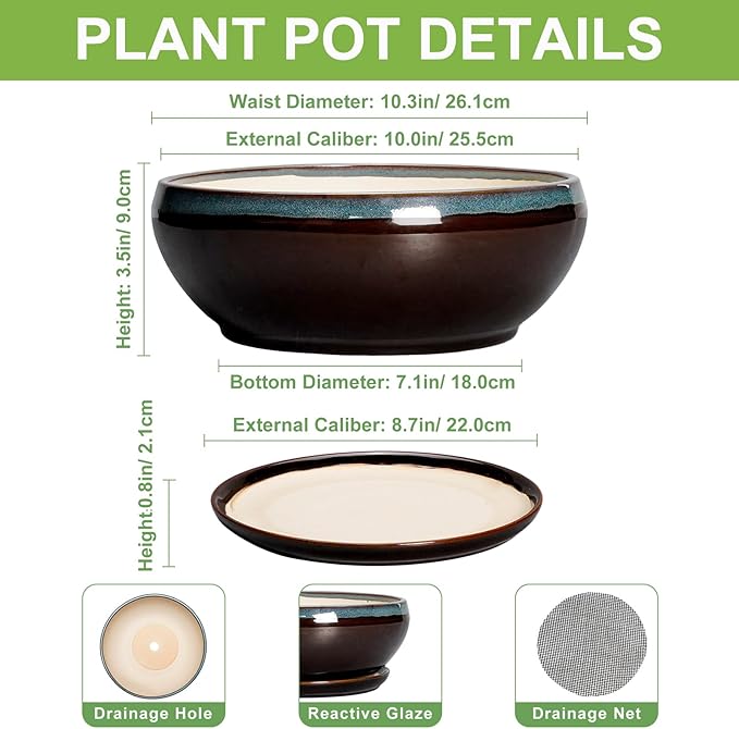 SQOWL Bonsai Tree Pots - 10 Inch Ceramic Succulent Pots with Drainage Hole and Saucer, Round Shallow Plant Pot Indoor Outdoor, Ceramic Bonsai Pot, Bowl Planter, Home Decor, Garden Gifts, Blue-Brown