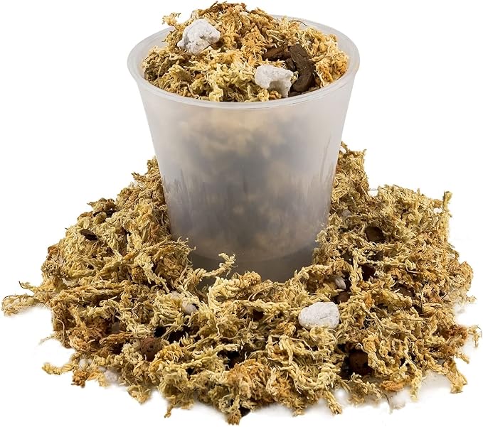 Premium Phalaenopsis Imperial Orchid Potting Mix - Hand Mixed in Small Batches | Great for Phalaenopsis of All Kinds - by GARDENERA - 3 Quart Bag