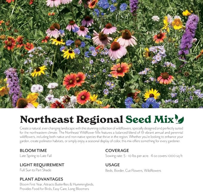 Grow Your Own Vibrant Annual and Perennial Wildflower Garden Seeds Mixture, Varieties for Pollinators and Spring Gardens - Northeast Regional Mix, 1/4 lb