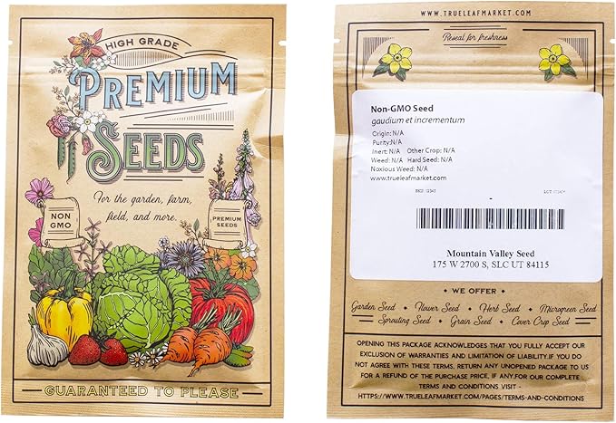 Chervil Seeds - Winter - 1 Oz ~11,200 Seeds - Anthriscus cerefolium - Culinary Herb Gardening & Microgreens Seed - Non-GMO, Heirloom, Open Pollinated, Annual