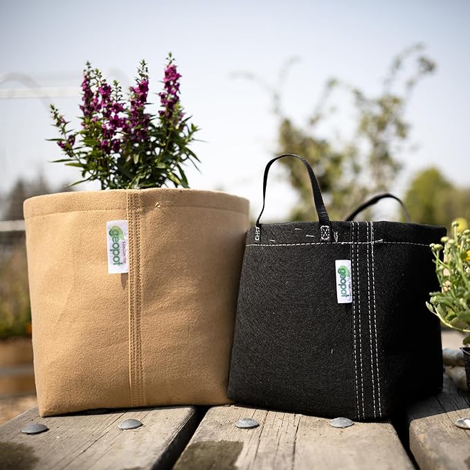GeoPot 5 Gallon Fabric Grow Bags with Handles - 10-Pack - Breathable, Aerated, Portable - Black - Ideal for Vegetables, Herbs, Flowers & Houseplants - Indoors & Outdoors