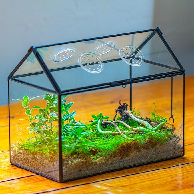 NCYP Glass Terrarium with Lid and Air Holes for Snails, Succulents Plants, Small Cactus - 10.2" x 5.9" x 8.2" House Shape Geometric Clear Box, Indoor Tabletop Decor Black (Terrarium Only)