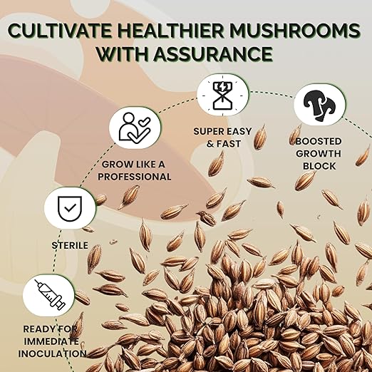 MycoHaus Mushroom Growing Kit with Injection Ports | Sterilized Rye Grain | Magic Indoor Grow Bags for Mushrooms | Home Cultivation Supplies | Without Spores | 1 Pound (36 Pack)