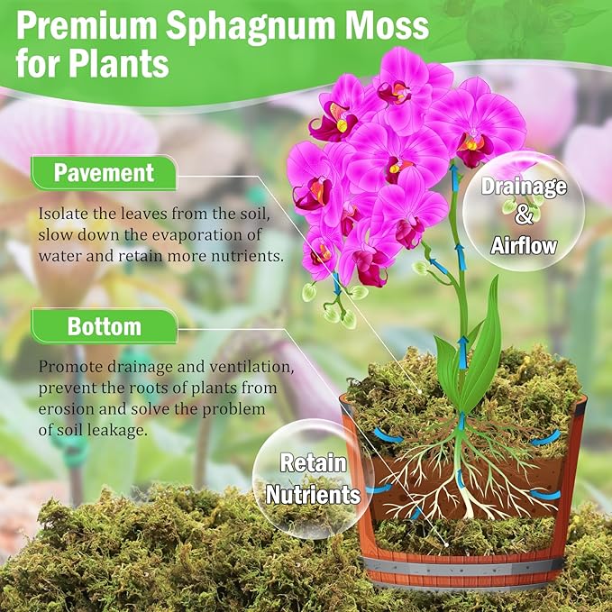 Riare 7OZ Premium Sphagnum Moss for Plants- 10QT Natural Dried Plant Moss for Potted Plants, Orchid Moss for Repotting, Soft Green Decorative Moss for Succulents, Reptiles & DIY Crafts
