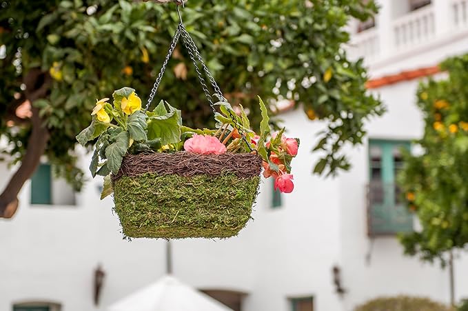 SuperMoss (29212) MossWeave Hanging Basket - Square, Fresh Green with Wicker Rim, Small (10.5 Diameter)"