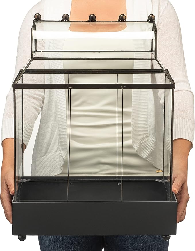 H Potter Glass Terrarium Succulent Planter Wardian Case Container for Plants WAR105