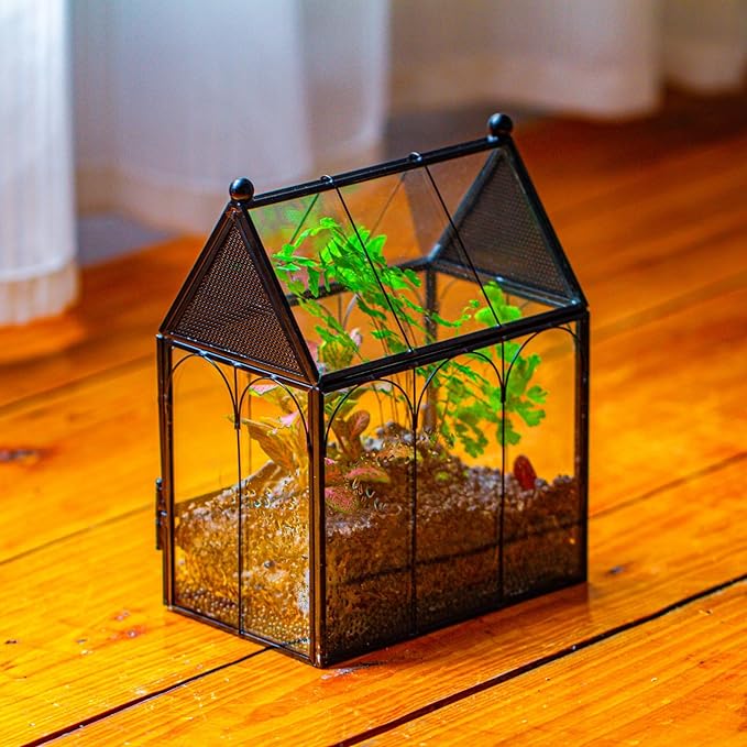 NCYP Small Glass Terrarium Enclosure with Mesh for Jumping Spiders, Micro House Shaped Succulent Plants Terrarium, Home Decor Black, 5.8" x 3.8" x 7" (No Plants)