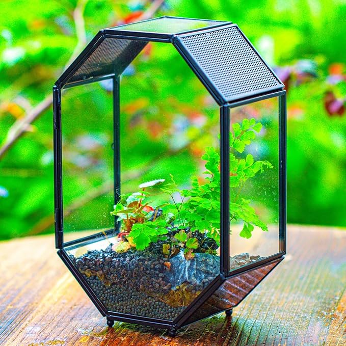 NCYP Glass Enclosure Terrarium with Mesh and Door for Jumping Spiders, Insects - Octagon Shape Small Succulents Terrarium 6.2 x 3.1 x 8.7 inches, Black Tabletop Decor (Plants Not Include)