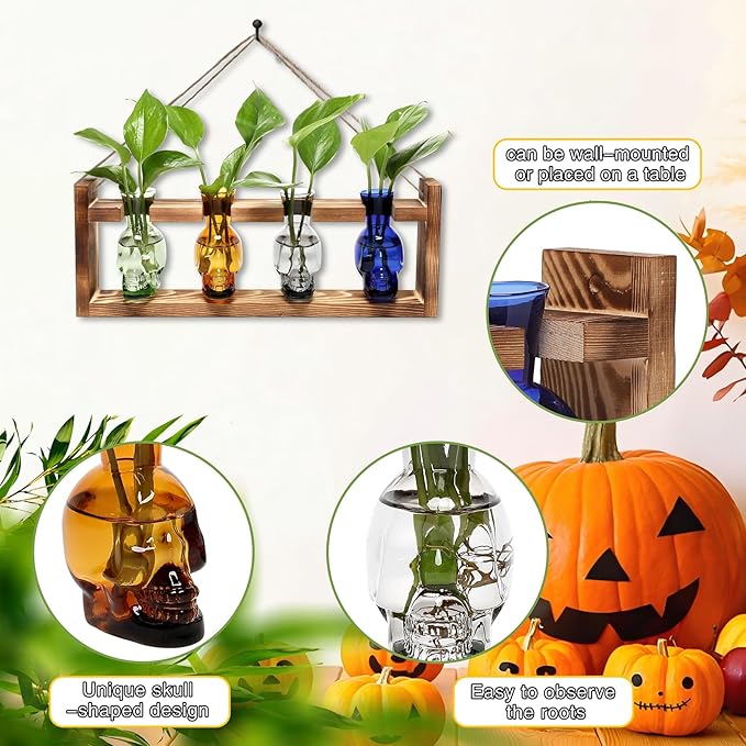Plant Propagation Stations Halloween Skull Plant Terrarium Kit Glass Vases Gift for Father Air Planter Home Office Decor