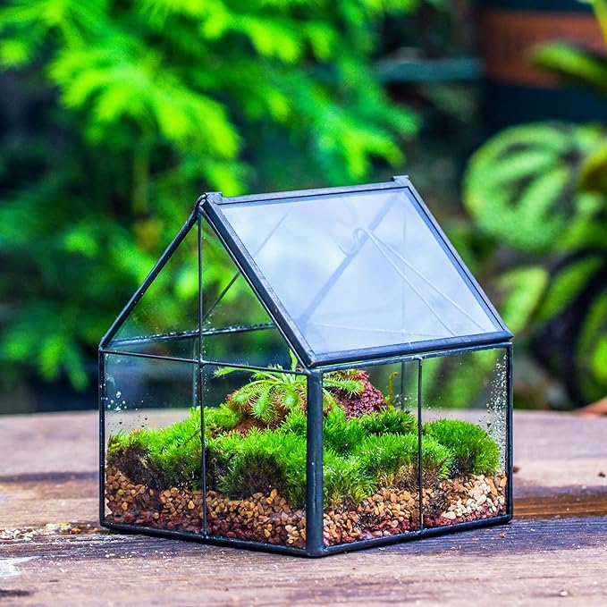 NCYP Mini Glass Geometric Terrarium with Lid - 4.25" x 4.25" x 4.92" Small House Shape Close Planter Pot for Succulents Plant - Handmade, Home Garden Office Tabletop Decor, Black (Terrarium Only)