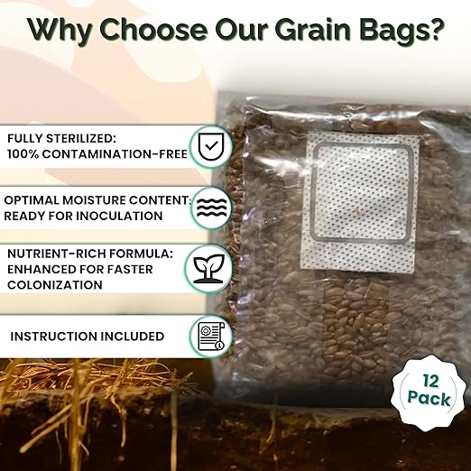 MycoHaus Mushroom Growing Kit with Injection Ports | Sterilized Rye Grain | Magic Indoor Grow Bags for Mushrooms | Home Cultivation Supplies | Without Spores | 1 Pound (12 Pack)