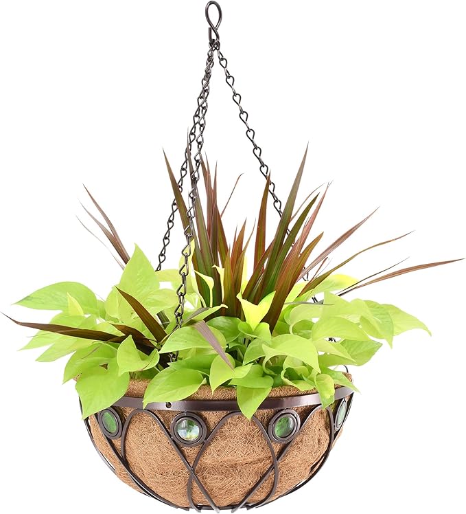 Arcadia Garden Products CB01 Emerald Series Round Hanging Basket Planters, 14-Inch