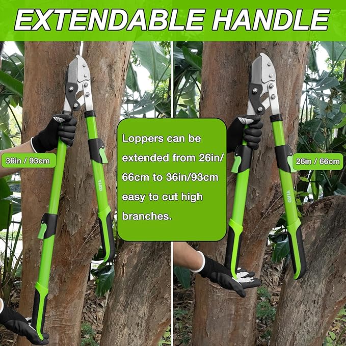 Telescopic Anvil Loppers 26-36", Compound Action Branch Cutter, 6-Position Adjustable Handles， Ergonomic Non-Slip Grips, Heavy Duty for Garden & Farm Pruning Tasks