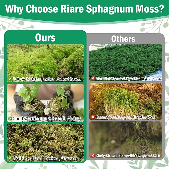 Riare 2.8LBS Premium Sphagnum Moss for Plants- 55QT Natural Dried Plant Moss for Potted Plants, Orchid Moss for Repotting, Soft Green Decorative Moss for Succulents, Reptiles & DIY Crafts