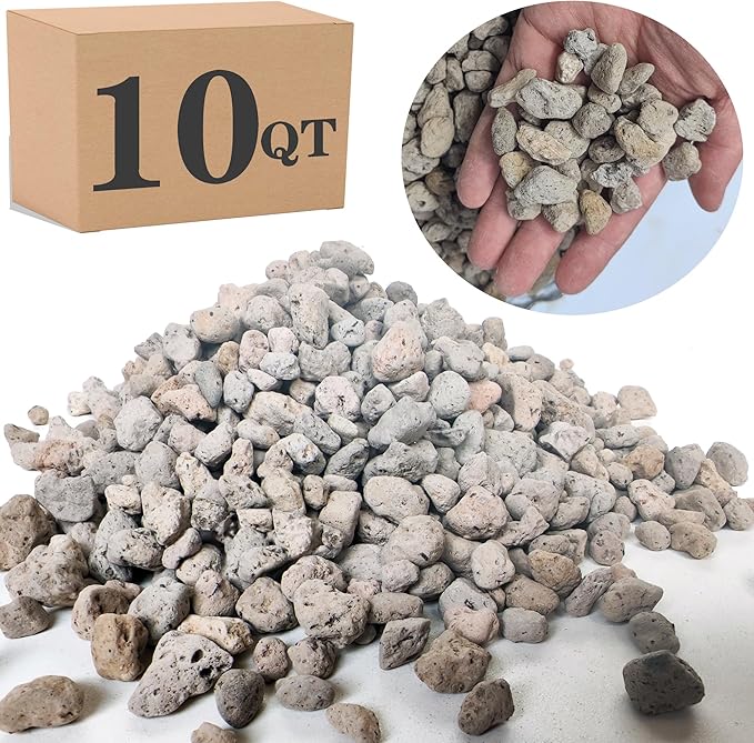 Garden Pumice Rock Horticultural Cactus Bonsai Succulent Soil Additive for Plants, Landscaping, Vase Fillers (1/2 inch, 10QT)