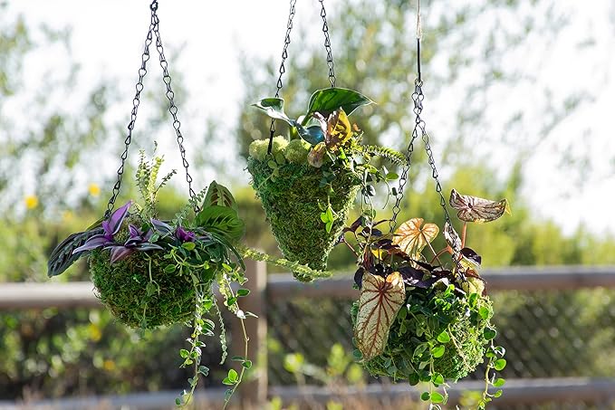 SuperMoss MossWeave (29270) Mini Hanging Basket Set of 4, Fresh Green