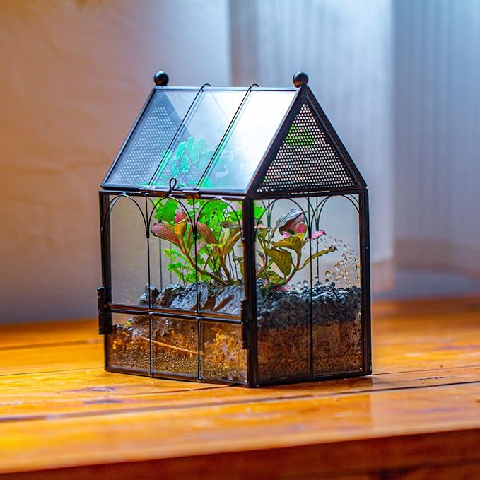 NCYP Small Glass Terrarium Enclosure with Mesh for Jumping Spiders, Micro House Shaped Succulent Plants Terrarium, Home Decor Black, 5.8" x 3.8" x 7" (No Plants)