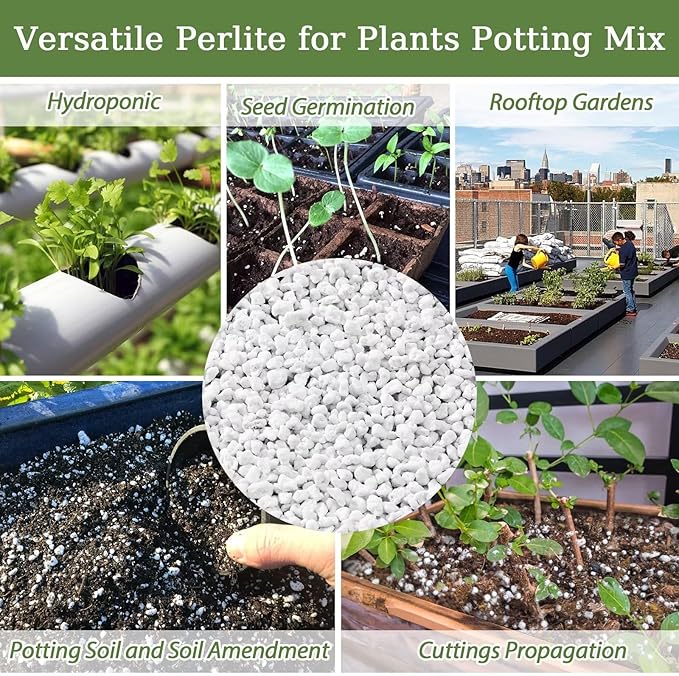 Riare 2 Quarts Organic Perlite for Plants - Horticultural Perlite Soil Amendment for Plants Potting Mix, Natural Chunky Perlite Soil Additive Conditioner Improve Root Growth, Drainage and Ventilation