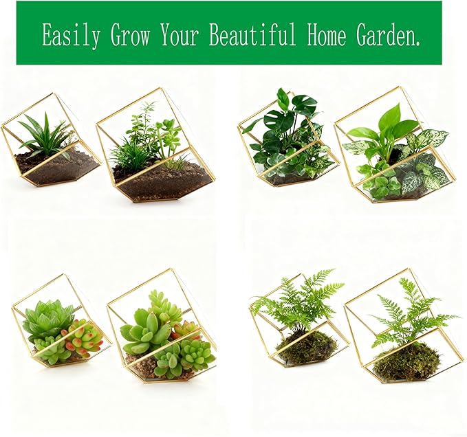 ELEGANTLIFE Glass Geometric Plant Terrarium,Succulent & Air Planter for Home Garden Office Decoration(Gold Cubic Set of 2)