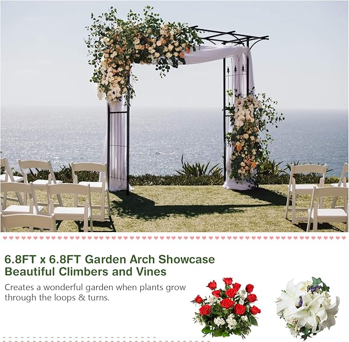 Safstar Metal Arch, 81-Inch Outdoor Garden Arbor for Various Climbing Plant Flower, Wedding Arch Backdrop Arch Stand for Wedding Garden Bridal Party Ceremony Decoration, Easy-to-Assemble, Black