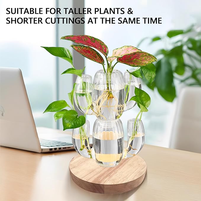 Lighted Plant Propagation Station with LED RGB Lights, 2 Glass Cactus Vases, Oak Wooden Base, Physical Push Button Control with USB Cables, Unique Gift for Plant Lovers