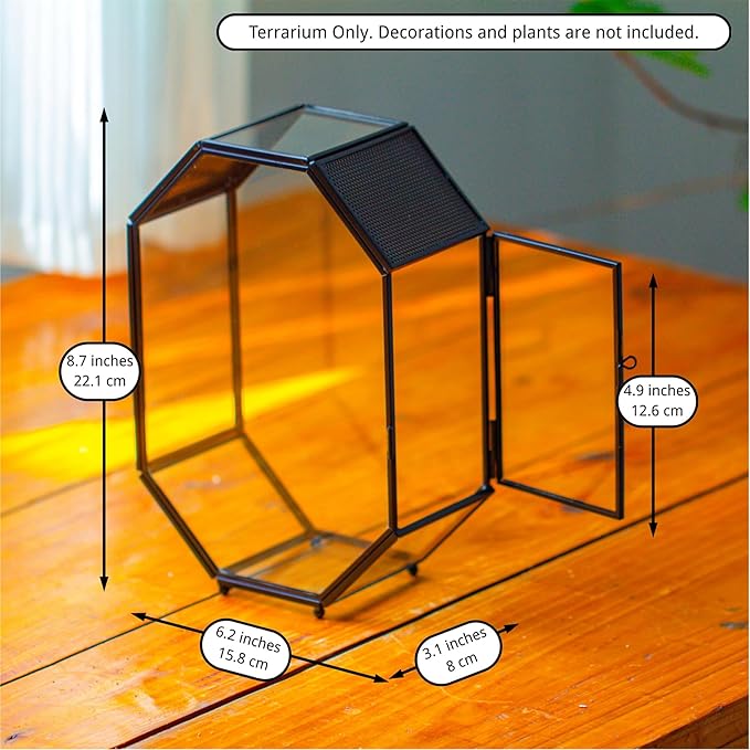 NCYP Glass Enclosure Terrarium with Mesh and Door for Jumping Spiders, Insects - Octagon Shape Small Succulents Terrarium 6.2 x 3.1 x 8.7 inches, Black Tabletop Decor (Plants Not Include)