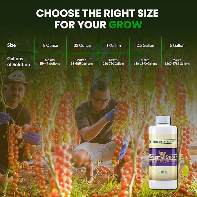 Humboldts Secret Sweet & Sticky Carbohydrate and Saccharide Plant Energy Additive | Indoor and Outdoor Plant Nutrients Enhancer for Growth and Aroma | Boosts Flavor and Development | 8 Ounce
