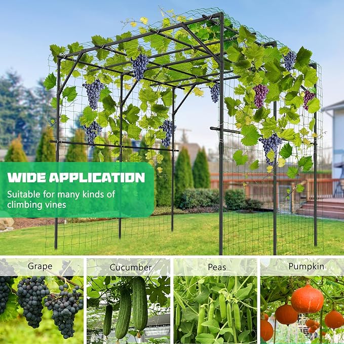 DoCred Large Garden Arch Trellis for Climbing Plants, 79'' H x 79'' L x 79'' W Outdoor Grape Vine Trellises Arch Arbor Gazebo, Grape Trellis for Courtyard and Garden Decoration, Black