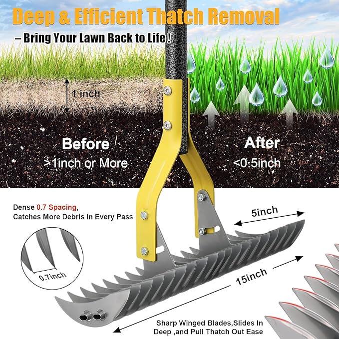 Dual-Action Thatch Rake for Lawn – Efficient 15" Thatching Rake with Sharp Dethatching Blade,Manual Dethatcher & Scarifier Tool for Dead Grass Removal,Soil Loosening,Garden Yard Lawn Care,55" Long