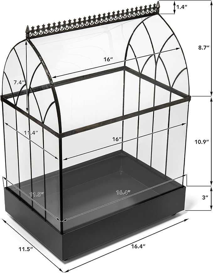 H Potter Large Terrarium Wardian Case - Glass Plant Container