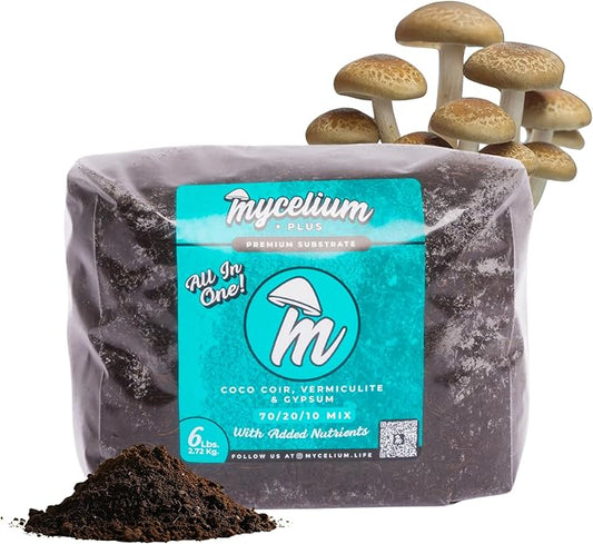Mycelium Plus CVG Mushroom Substrate – 6LB Organic Blend with Coco Coir, Vermiculite, Gypsum & Cultivation Enhancer | Ready-to-Use for Dung-Loving Mushrooms | Monotub & Grow Bag Ready