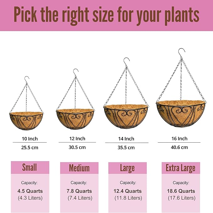 LaLaGreen Hanging Baskets for Plants (12 Inch, 2 Pack) Hanging Flower Pots with Coco Liner, Black Metal Wire Round Basket Plant Holder with Hanger Hook Chain, Outdoor Patio Deck Balcony Garden Decor