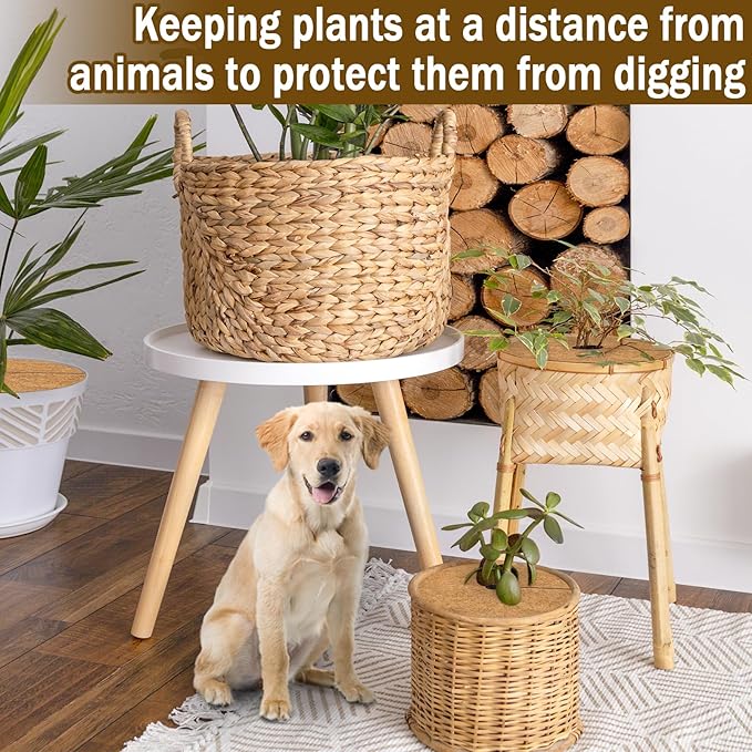 ZeeDix 20 Pack Coconut Fiber Mulch Ring, 11.8 Inch Coco Coir Tree Ring Mulch Mat, 100% Natural Tree Protector Mat Plant Cover Ring Coconut Coir Discs Tree Mats Mulch Rings for Indoor Outdoor Plants
