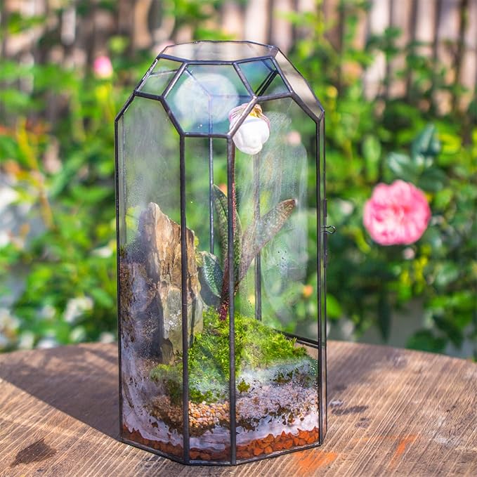 NCYP Glass Geometric Plant Terrarium with Door for Succulent Plants, Cacti - 5.5"x5.5"x12.8" - Indoor Vintage Tall Octagon Planter, Home Garden Office Tabletop Decoration (Terrarium Only)