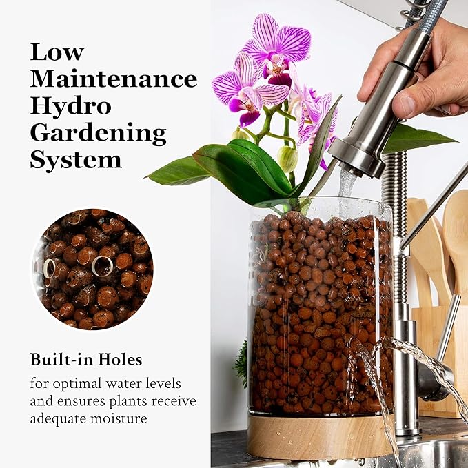 Pot & Pebble - C1 Glass Planter with Wooden Base - Indoor Glass Planter with Water Level Control Holes -Grow Plants in LECA Clay Pebbles/Similar Media - Semi Hydroponic Planter - Plant Cutting Holder