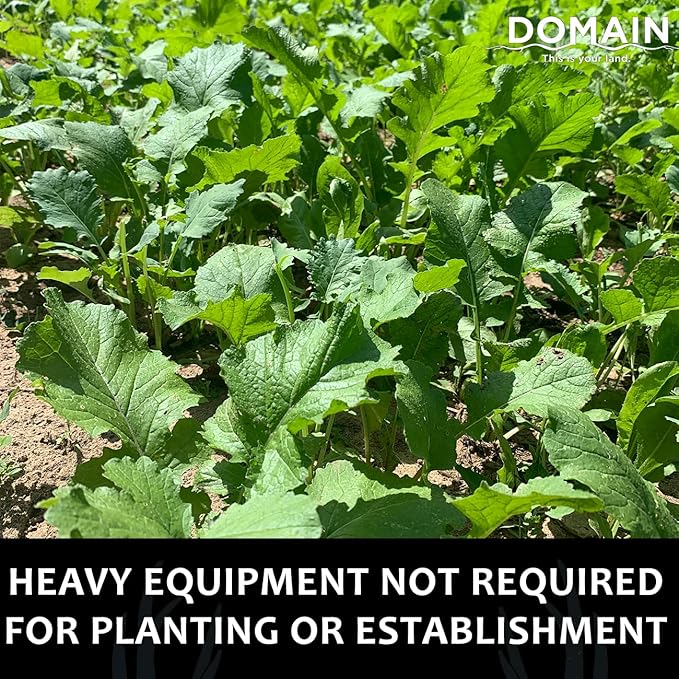Domain Outdoor Bombshell Food Plot Seed for Deer, 1/2 Acre, Designed to Handle The Toughest Conditions, Quick Establishment - Ethiopian Cabbage, Forage Collards, Hybrid Forage Brassica, Forage Turnip