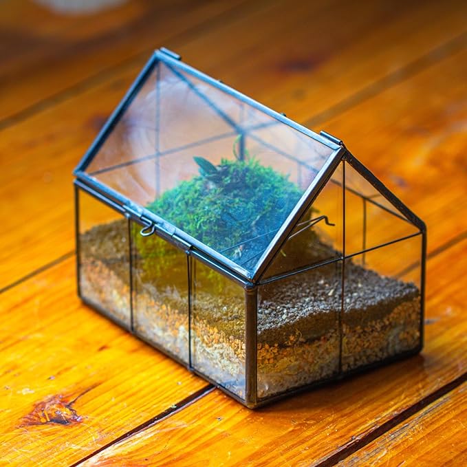 NCYP Mini Glass Terrarium with Lid - 6.1" x 4.25" x 4.92" House Shape Closed Planter Pot for Small Cactus, Succulents Plant - Home Garden Office Tabletop Geometric Decor, Black (Terrarium Only)