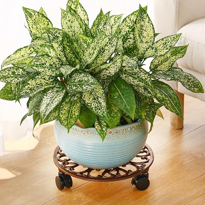 2 Packs 11 Inch Rolling Plant Stand with Wheels Wrought Iron Rolling Plant Stand with Casters Heavy Duty for Indoor Plants Rollers with Wheels, Metal Round Plant Dolly