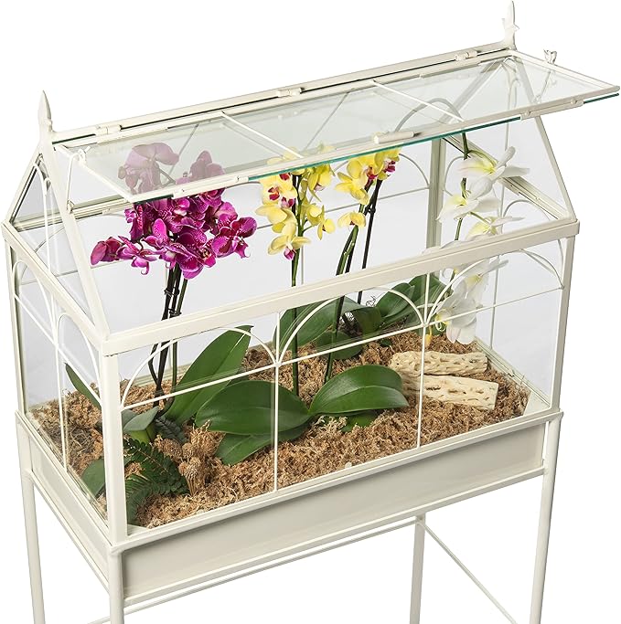 H Potter Terrarium Planter Freestanding Wardian Case (Large)