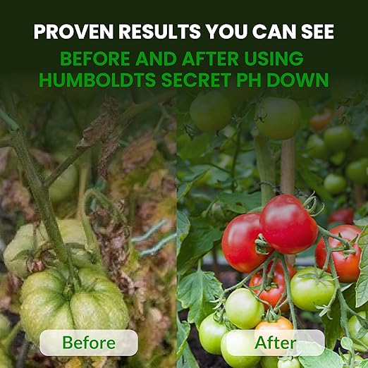 Humboldts Secret pH Down for Plants | Liquid pH Adjuster and Balancer for Soil Coco Hydroponics | Concentrated Phosphoric Acid Solution Supporting Nutrient Uptake and Strong Growth | 8 Ounce