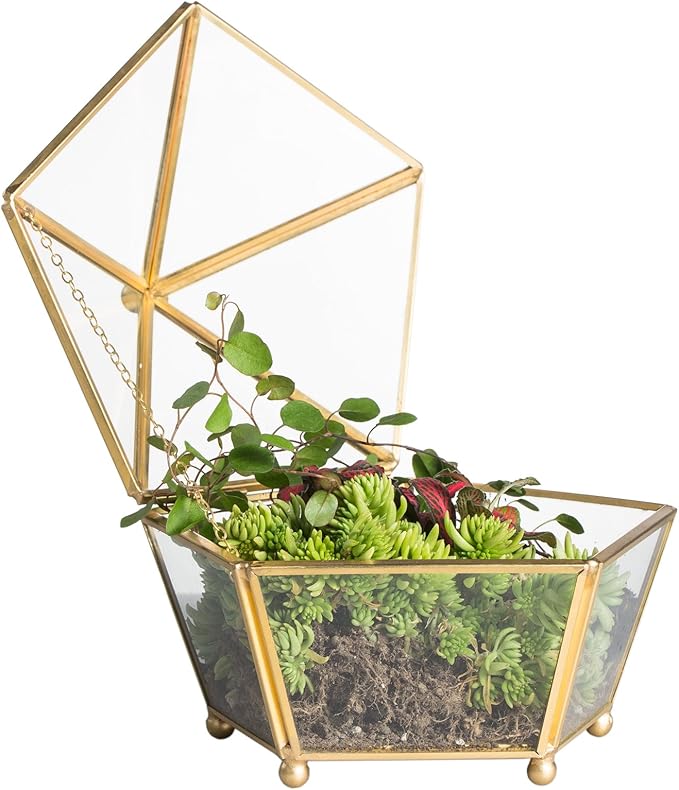 NCYP Small Geometric Vintage Glass Jewelry Box, Gold Succelent Plants Terrarium with Swing Lid, Pentagon Shape Clear Metal Brass Display Planter for Wedding Decoration (No Plants, Terrarium Only)