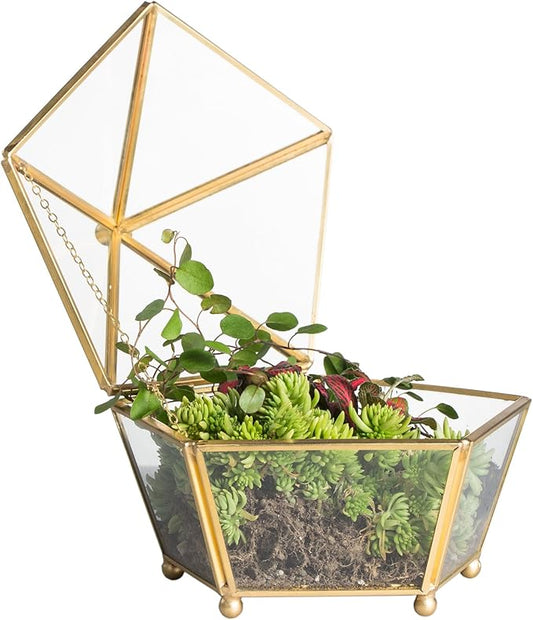 NCYP Small Geometric Vintage Glass Jewelry Box, Gold Succelent Plants Terrarium with Swing Lid, Pentagon Shape Clear Metal Brass Display Planter for Wedding Decoration (No Plants, Terrarium Only)
