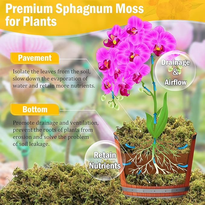 Riare 1.3LBS Premium Sphagnum Moss for Plants- 25QT Natural Dried Plant Moss for Potted Plants, Orchid Moss for Repotting, Soft Green Decorative Moss for Succulents, Reptiles & DIY Crafts
