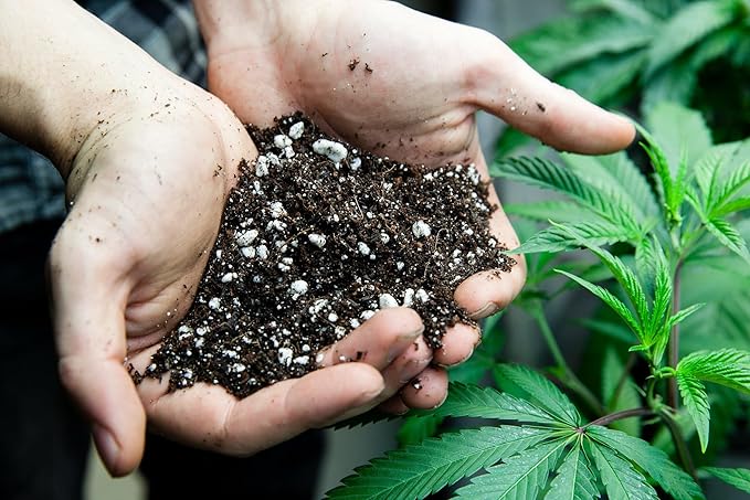 Gardenera Organic Autoflower Plants Potting Soil Mix - Perfect Balance of Nutrients, Drainage, and Aeration for Thriving Autoflower Plants- 2 Quart