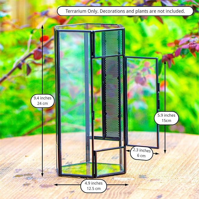 NCYP Small Glass Enclosure Terrarium with Mesh and Door for Jumping Spiders, Insects - Hexagon Shape Succulents Terrarium 4.9'' x 3.9'' x 9.4'', Tabletop Decor, Black (Plants Not Include)
