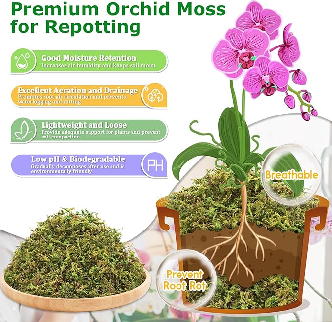 Legigo 7OZ Premium Forest Moss for Plants, 8 QT Natural Green Sphagnum Moss for Potted Plants, Dried Orchid Moss Potting Mix, Soft Real Moss Decorative for Houseplants Orchids Succulents Reptiles