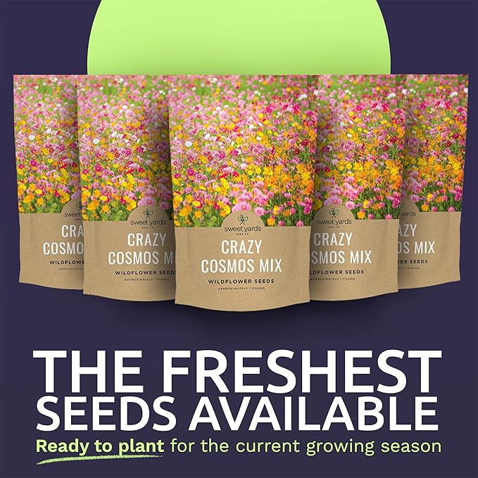 Bulk Cosmos Seeds Wildflower Mixture - 5 Pounds - Over 400,000 Seeds - Pink, Yellow, Orange, Red, Purple and White Mixed Species!