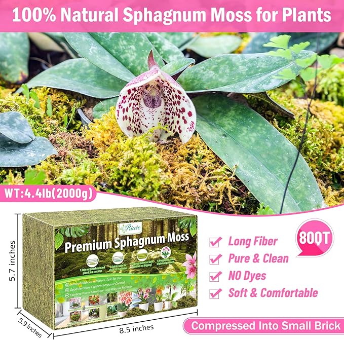 Riare 4.4LBS Premium Sphagnum Moss for Plants- 80QT Natural Dried Plant Moss for Potted Plants, Orchid Moss for Repotting, Soft Green Decorative Moss for Succulents, Reptiles & DIY Crafts